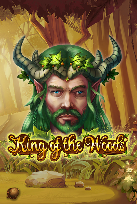 Poster for King of the Woods